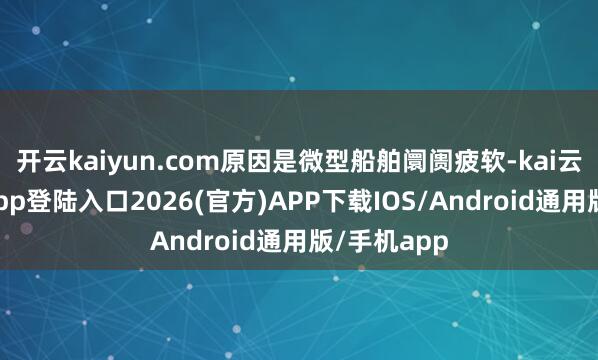 开云kaiyun.com原因是微型船舶阛阓疲软-kai云体育网页app登陆入口2026(官方)APP下载IOS/Android通用版/手机app